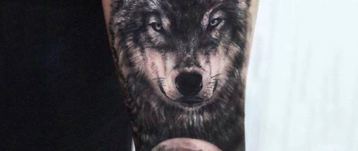 Мужские тату волка на руке