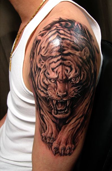 grey ink walking tiger tattoo on man left shoulder